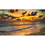 Sunset Tropical Beach Aquarium Background Sunrise Ocean Seashore Fish Tank Background Ocean Seascape Terrarium Backgrounds Sunset Over the Seacoast Sea Waves Sand Reptile Tank Backgrounds 24x12in