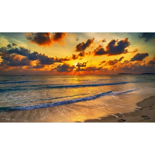 Sunset Tropical Beach Aquarium Background Sunrise Ocean Seashore Fish Tank Background Ocean Seascape Terrarium Backgrounds Sunset Over the Seacoast Sea Waves Sand Reptile Tank Backgrounds 24x12in