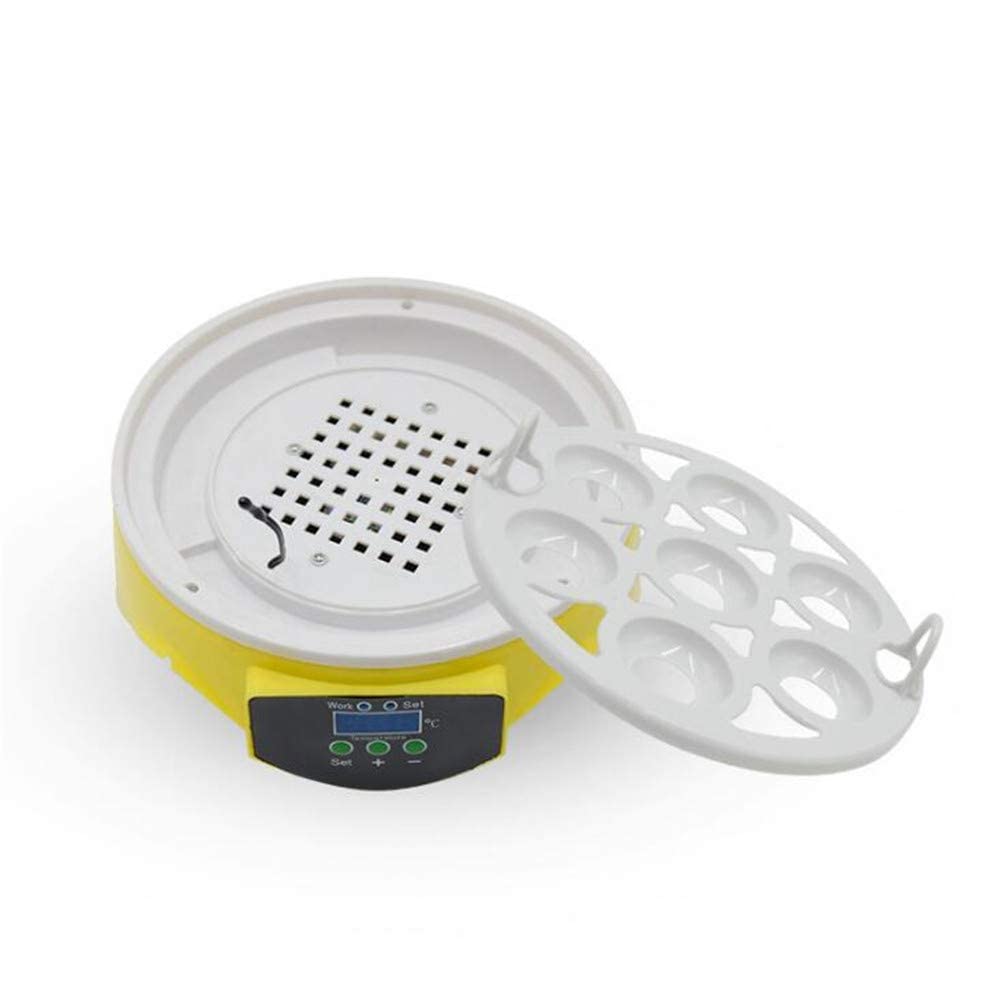 Incubadora digital de huevos totalmente automática, mini incubadora de huevos de pollo, codorniz, pavo, 10 incubadoras pequeñas semiautomáticas, talla única