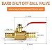 GASHER 3PCS 5/16 Inch Heavy Duty Brass Ball Valve Hose Barb with 180 Degree Operation Handle