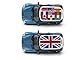 ICE TOYS Modellauto im Maßstab Mini Cooper S mit Flagge (Flag Azul)