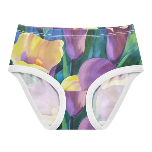 Toddler Girls Underwear 2t Cotton Little Girl Panties Stylish Briefs Kids Undies Blooming Calla Purple Floral