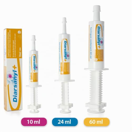 Diarsanyl Plus | Doppelpack | 2 x 10 ml Injektor | Paste zum Eingeben in das Maul | Kann zur Linderung akuter Resorptionsstörungen des Darms bei Katzen und Hunden beitragen