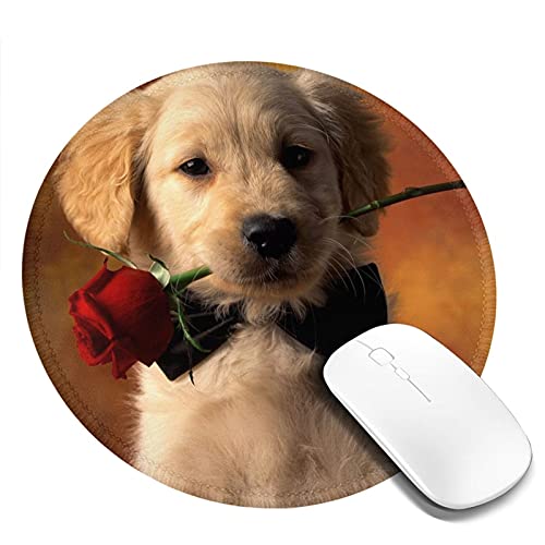 }EXpbh ی^ G  o  h ~ S Q[~O}EXpbh m[gp\R PC Eh}EXpbh fXN}bg ϋvǂ ItBXp rWlXp ƒp Q[p ~` 20cm