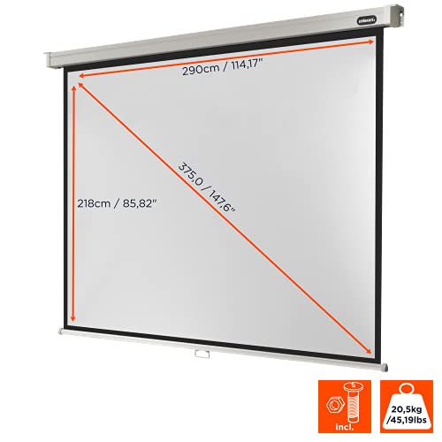 celexon Professional Rollo-Leinwand 140 | 300x225 cm 4:3 | manuell ausziehbare 4K, Full-HD Beamer-Leinwand f&uuml;r das B&uuml;ro oder Heimkino-Projektionen | Wand- & Deckenmontage/zum Aufh&auml;ngen