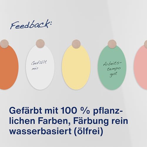magnetoplan Moderationskarten Oval, sortiert | BxH 190x110 mm | 500 Stück | Kommunikationskarten in 6 Pastellfarben | Für Meetings und Präsentationen | FSC-zertifiziert und kunststofffrei verpackt