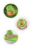 Buki terrarium d’observation avec loupes x6 et x3, 21,3 cm photo 5