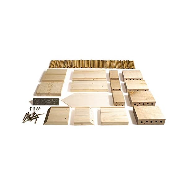 YAKEBA | Insektenhotel | Made in Germany | aus einheimischem Holz – Bild 4