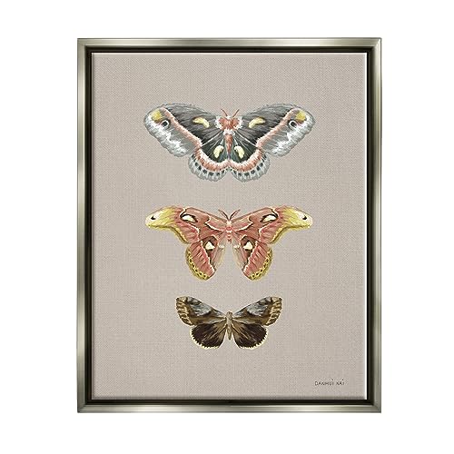 Image of Vintage Moth Specimens Nature, 16 x 20 Inch Canvas in Floater Frame | Stupell Industries . By Danhui Nai . Ready to hang . Printed in Johnston . Rhode Island . Made in USA