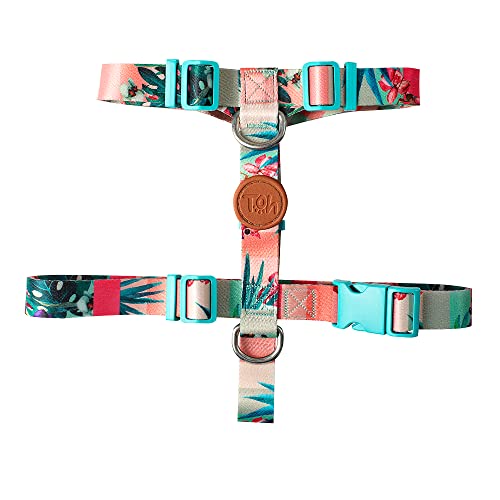 Conjunto Peitoral H e Guia, Laguna, P, Toh