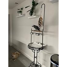 72" Parrot Stand Large Bird Playstand, Wood Perch with Easy Grip Pet Products,Stainless Steel Tray Bowls Toy Hook Rolling Wheel, Wrought Iron Bird Play Ground Rolling Stand