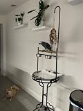 COZIVVOVV 72 inch Parrot Stand