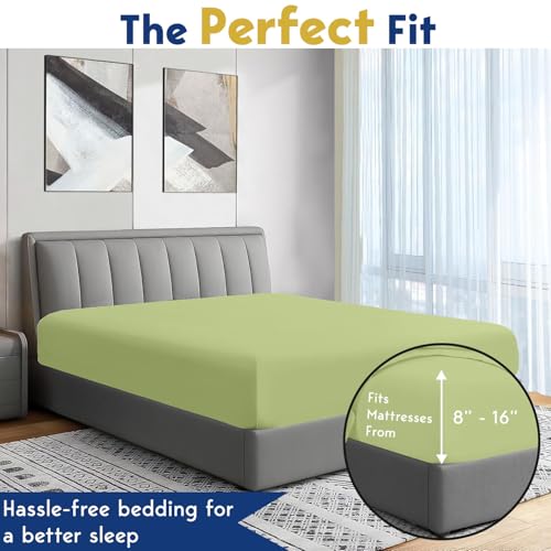 Image of Elastic Fitted Bedsheet Single Size Bed with 2-Pillow Covers 100% Egyptian Cotton Fits 1000 TC Soft & Breathable Luxurious Bedrooms and Hotels Use (Sage) (Size: 78x36 Inch)