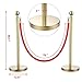 Yaheetech 2pcs Stainless Steel Stanchion Posts - 6.6FT Extended Red Velvet Rope Retractable Barriers Ropes Safety Barriers Set with Stable Base for Party Supplies Theater Hotels Clubs Museums, Gold