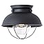 One Light Outdoor Ceiling Flush Mount