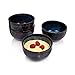 SÄNGER | Dessertschalen Set Tokio, 4-teiliges Dessert Schalen Set aus Steingut, Füllmenge: 450 ml, Teller