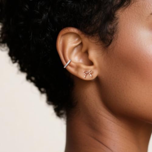 Limerencia Bow Earrings F136 Titanium Tiny Bow Studs Small Cute Bowknot post Stud Earrings Gold Silver Tone for Teens Sensitive Ears 5