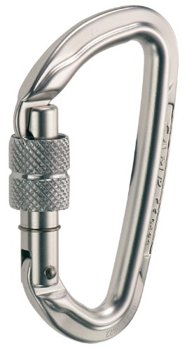 Camp USA Orbit Screwgate Carabiner (Spring 2010) Polished