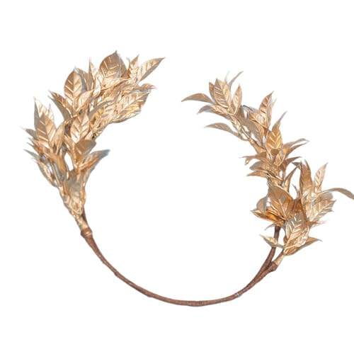 t@bViuȃS[fґgwAԉŌyʌ̂ԂƎpIȎ\lHS[fuC_ANZT[