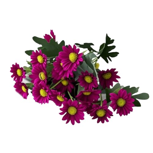 lHTZbg}, UVϐ̂v^[, F򂹂ɂtFCN[Jtt}  Ӎ Ȟ֒ peBI |[` n K[f nEB