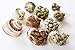 FSG - Select 10 Hermit Crab Shells Deluxe Turbo Changing Seashells Medium 1
