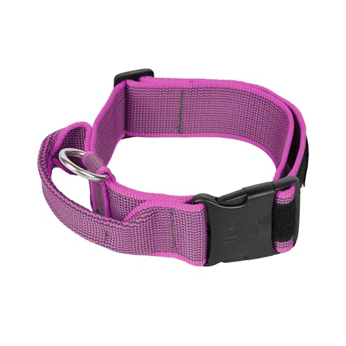 Julius-K9 Collar Color & Gray con la manija, la Cerradura de Seguridad y el Remiendo Intercambiables, 50 mm (49-70 cm), Rosa-Gris