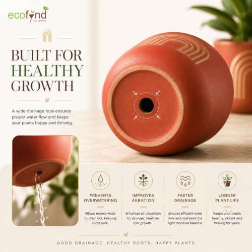 Image of ecofynd 4.5 Inch Rainbow Arch Terracotta Pot for Indoor Plants, Decorative Clay Planter for Home, Living Room, Balcony, Office & Garden, Flower Pot for Herbs & Houseplants (TPOT007-BRN)