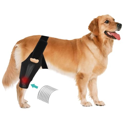 Image of Dog Knee Brace for ACL & Ligament Injuries | Adjustable Back Leg Support & Compression Wrap | Helps with Patella Dislocation, Osteoarthritis & Sprains | Multifunctional Protection (Large)