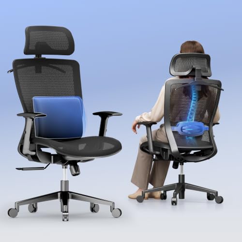 Image of FLEXISPOT OC3 Ergonomic Chair with Dual Front& Back Lumbar Support,MS Black