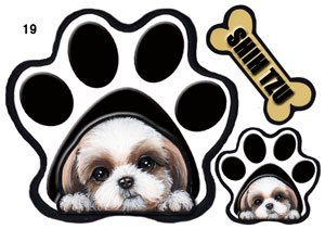 PAWpEXebJ[ V[Y[19/ Ճ}Olbg/G ObY 