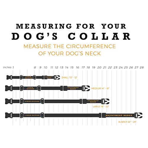 Wolfgang Premium Martingale Dog Collar For Small Medium Large Dogs, Made In Usa, Overland Print, Medium (1 Inch X 14-18 Inch) #TOP3