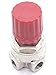 DEHOMKUS AB-9051116 Compressor Pressure Regulator for Stanley Bostitch, Husky air Compressor Parts (1/Pack)