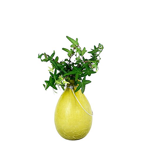 Achla Designs Sv-01Y, Yellow Hanging Glass Flower Planter/Rooting Vase-Teardrop Shaped #TOP1