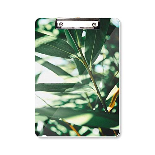 Plante à feuilles vertes cadre A4 et decoration interieure salon