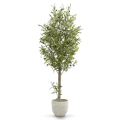 MAIA SHOP Olivo Artificial 150 cm con Tronco Natural y Aceitunas Decorativas, Planta Artificial Realista para Decoración de Hogar, Oficina, Hotel o Eventos, Árbol Mediterráneo de Interior