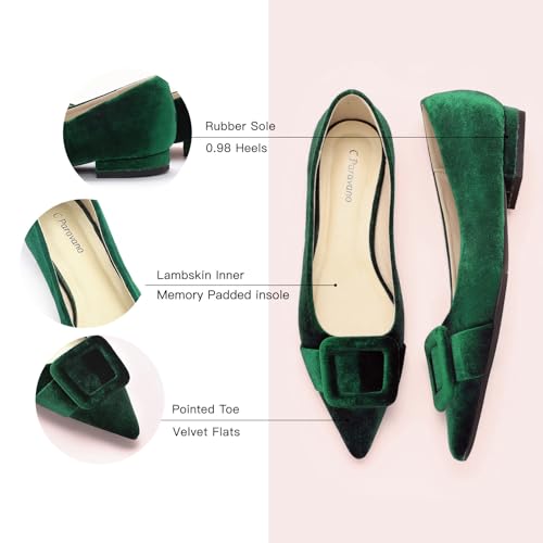 Image of C.Paravano Velvet Flats | Women's Pointed Toe Shoes | Dressy Flats for Women | Designer Shoes
