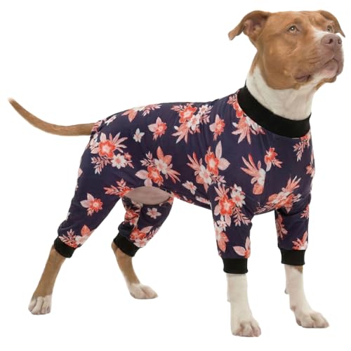 LovinPet LovinPet Large Pet Costume, Ivoery Bohemian Floral Garden Print, L
