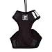 DOGO Pet Fashions EasyGO Basic (Black, Small)