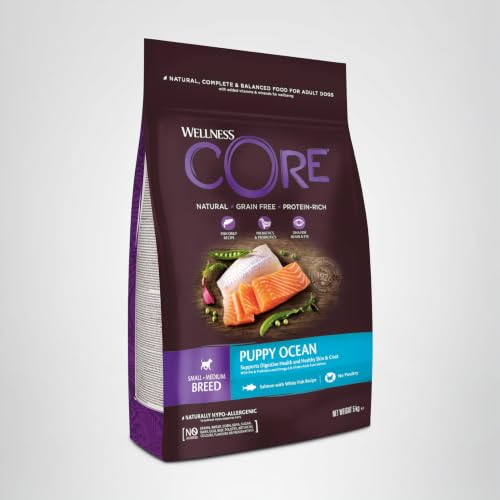 Wellness CORE Puppy Ocean 5kg, Lachs & Weißfisch Hundefutter Trocken für Welpen Kleiner und mittlerer Rassen, getreidefrei, natürlich, hypoallergen, für die Entwicklung von Gehirn und Augen-5