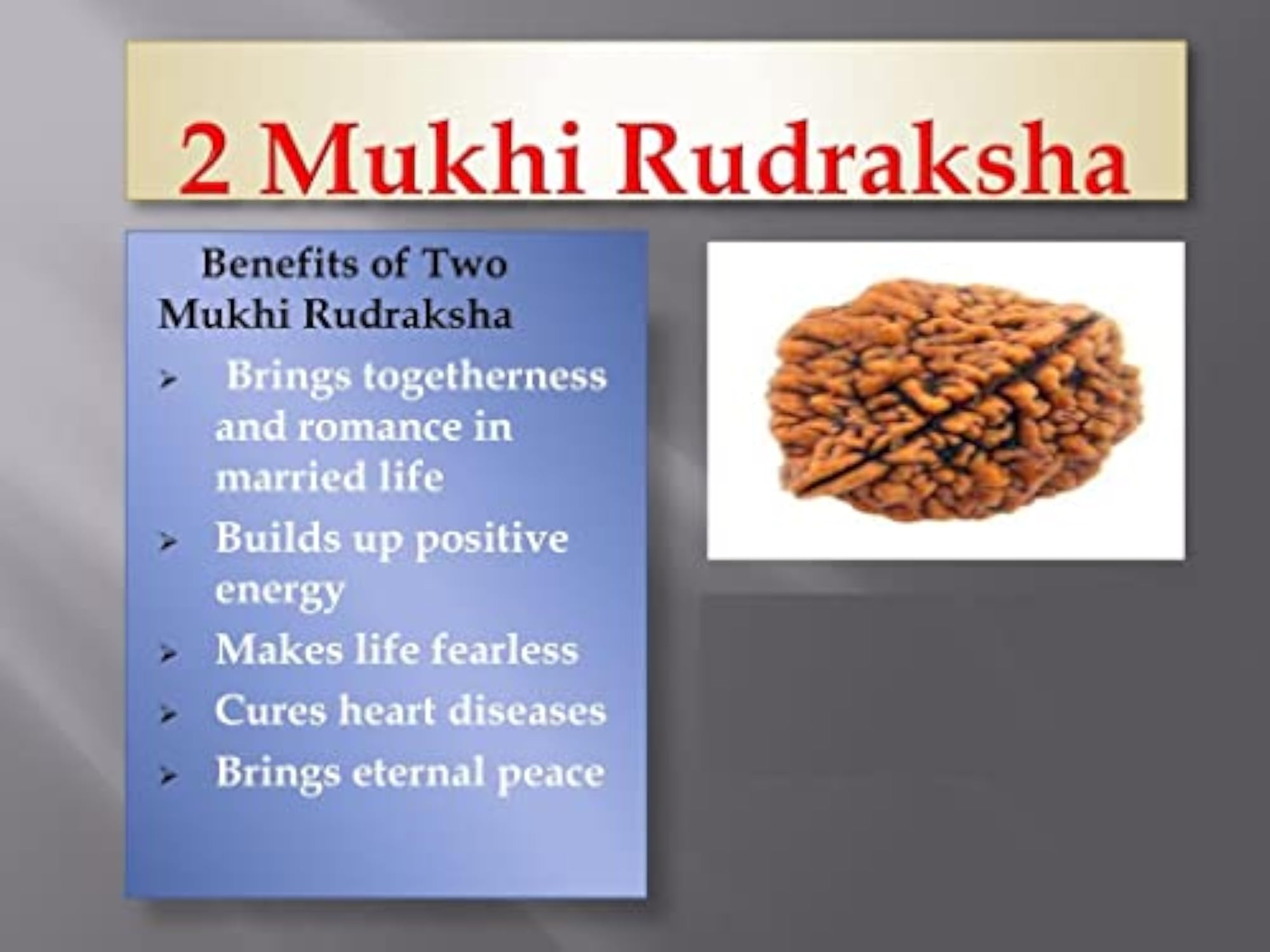 2 Face Rudraksha Beads, Certified Spiritual Gift