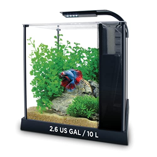 Fluval Betta Premium Aquarium Kit, 2.6 Gallon - Image 3