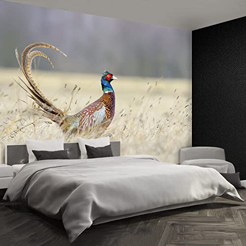 Papier peint faisan Tulup 152x104cm décor mural moderne - 4