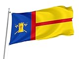 ➤ Alta calidad: La bandera está hecha de tela de poliéster de alta calidad. Ligera y vaporosa, puede ondear incluso con la brisa, puede exhibir su bandera en cualquier lugar.
