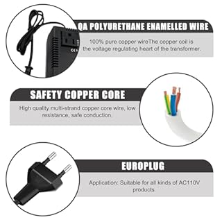 Convertisseur de Tension 300 W 220 V vers 110 V : Adaptateur abaisseur de Tension, Adaptateur de Voyage, Convertisseur de Tension, Régulateur UE