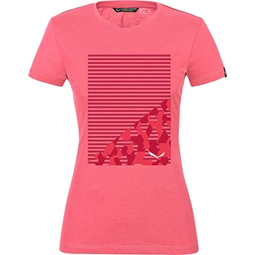 T-shirt Salewa Geometric Dry W haut anti transpiration rando femme