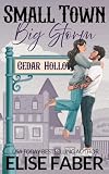 Small Town, Big Storm (Cedar Hollow: Home Ice Heroes Book 1)
