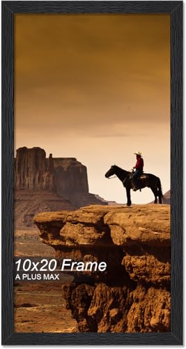 A PLUS MAX 10x20 Picture Frame Black Light Weight Wall Mount