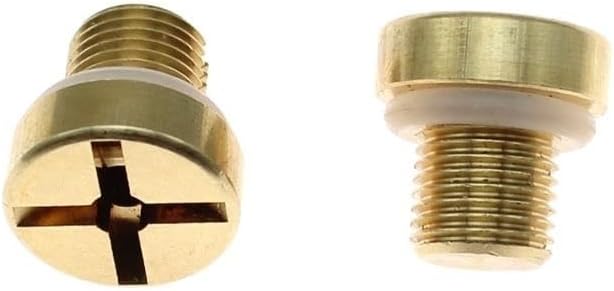 Replacement Coolant Tank Bleeder Screw Brass Coolant Reservoir Screw for BMW E46 E92 E90 E36 E39 DaJiKan