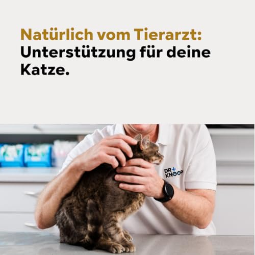 HGM Gelenkpulver für ältere Katzen - mit Grünlippmuschel, Teufelskralle & Glucosamin für mehr Bewegungsfreude, entwickelt vom Tierarzt Dr. Knoop, mit leckerem Vanille Geschmack, 220g