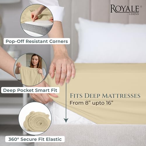Image of Royale Linens 400 Thread Count Full Size Fitted Sheet Only - 100% Cotton Bed Fitted Sheet - Luxury Sateen Weave - All Around Elastic Deep Pocket - Soft & Durable Bottom Sheets - Fit Up to 16 inch (Sand)